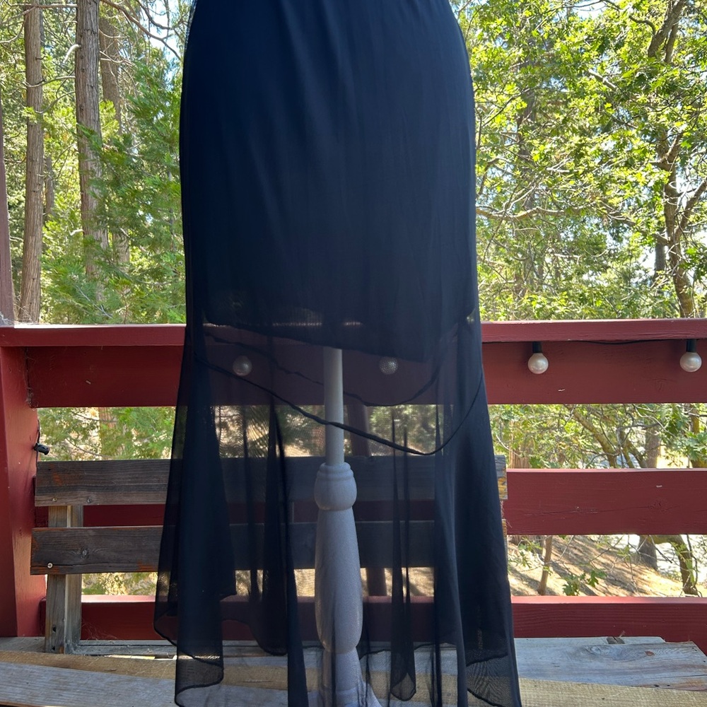 Elegant Black Sheer Women's Skirt